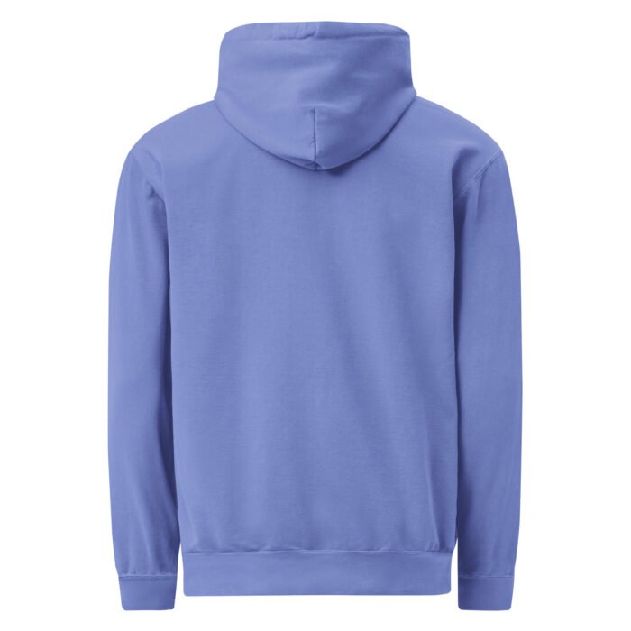 unisex-garment-dyed-hooded-sweatshirt-i-comfort-colors-1567-flo-blue-back-69769921df5b4.jpg