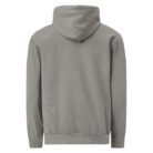 unisex-garment-dyed-hooded-sweatshirt-i-comfort-colors-1567-grey-back-69769921df622.jpg