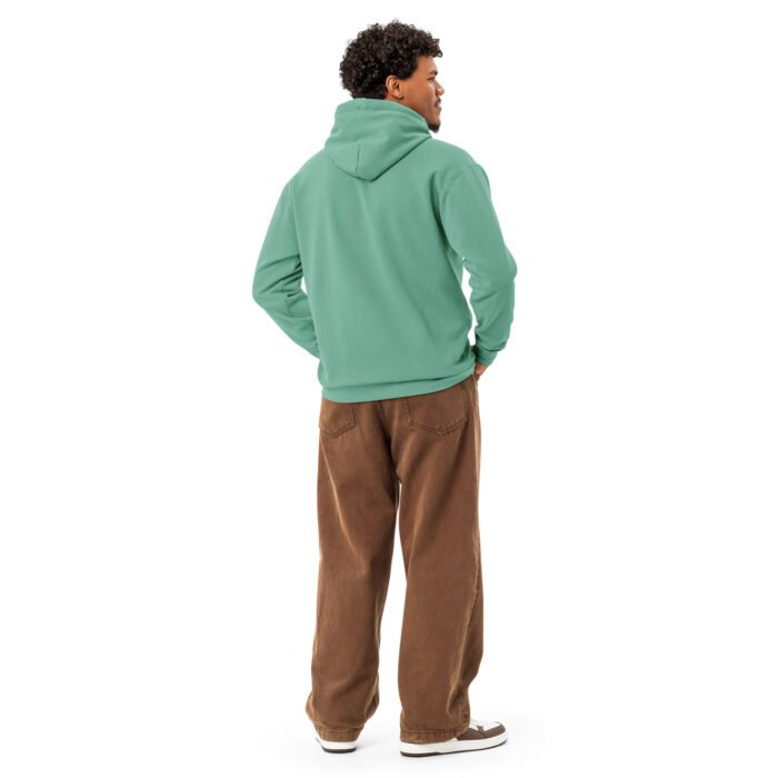 unisex-garment-dyed-hooded-sweatshirt-i-comfort-colors-1567-seafoam-back-69769921e1a94.jpg